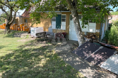 A secluded family house with a bee farm for sale in the village of Kameničná